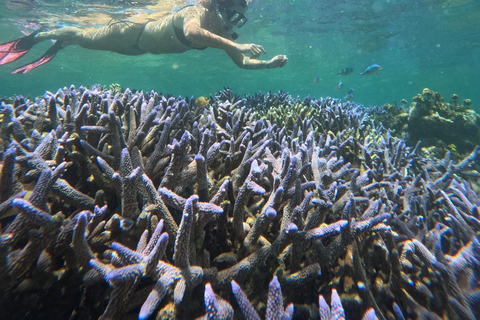 Lombok Private Snorkeling: Hidden Southwest 5 Gili Islands Lombok: Private Snorkeling Gili Asahan (5 Gilis) + Lunch