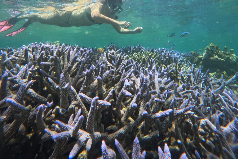 Lombok Private Snorkeling: Hidden Southwest 5 Gili Islands Lombok: Private Snorkeling Gili Asahan (5 Gilis) + Lunch