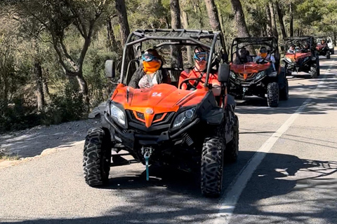 From East Mallorca: Guided Beach and Mountain Buggy Tour