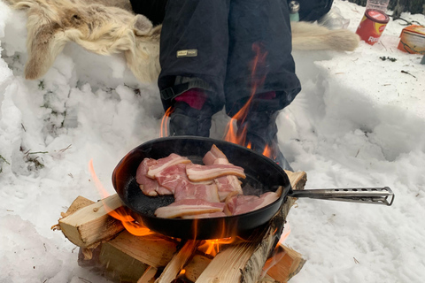 Oslo: Wilderness Skiing Tour with Lunch by the Fire