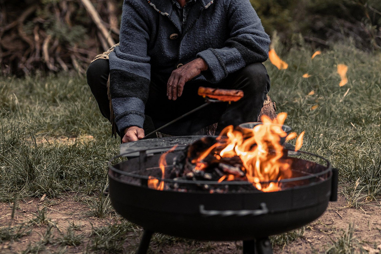 زاكوباني: مغامرة ركوب العربات مع نار المخيم والنقل