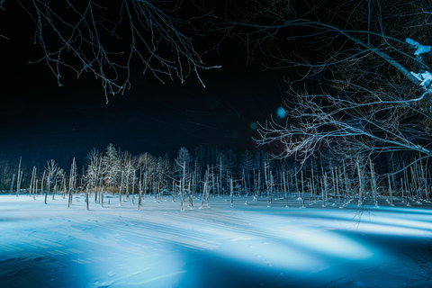 Sapporo: Hokkaido Biei Best 5 Photo Spots Day Tour Shared Tour, Meet at Odori Station