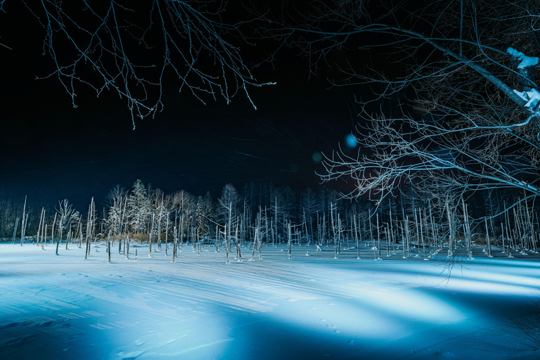 Sapporo: Hokkaido Biei Best 5 Photo Spots Day Tour Shared Tour, Meet at Odori Station