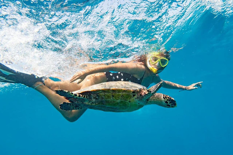 Marsa Mubarak Sea Turtles Trip with Optional Diving with 1 Intro-dives, Snorkelling, Lunch