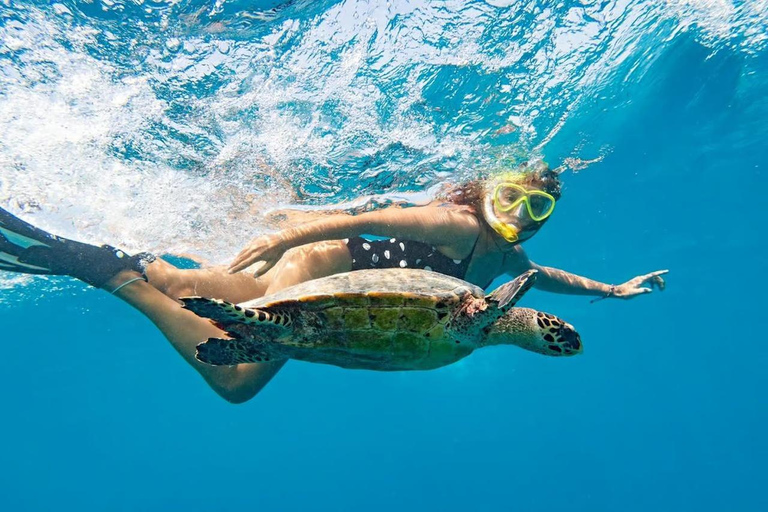 Marsa Mubarak Sea Turtles Trip with Optional Diving with 1 Intro-dives, Snorkelling, Lunch