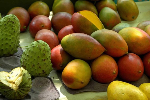 Salvador: Proeverij van tropisch fruit op een lokale marktPrivé fruitproeverij