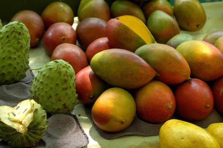 Salvador : visite de dégustation de fruits tropicaux dans un marché localDégustation privée de fruits