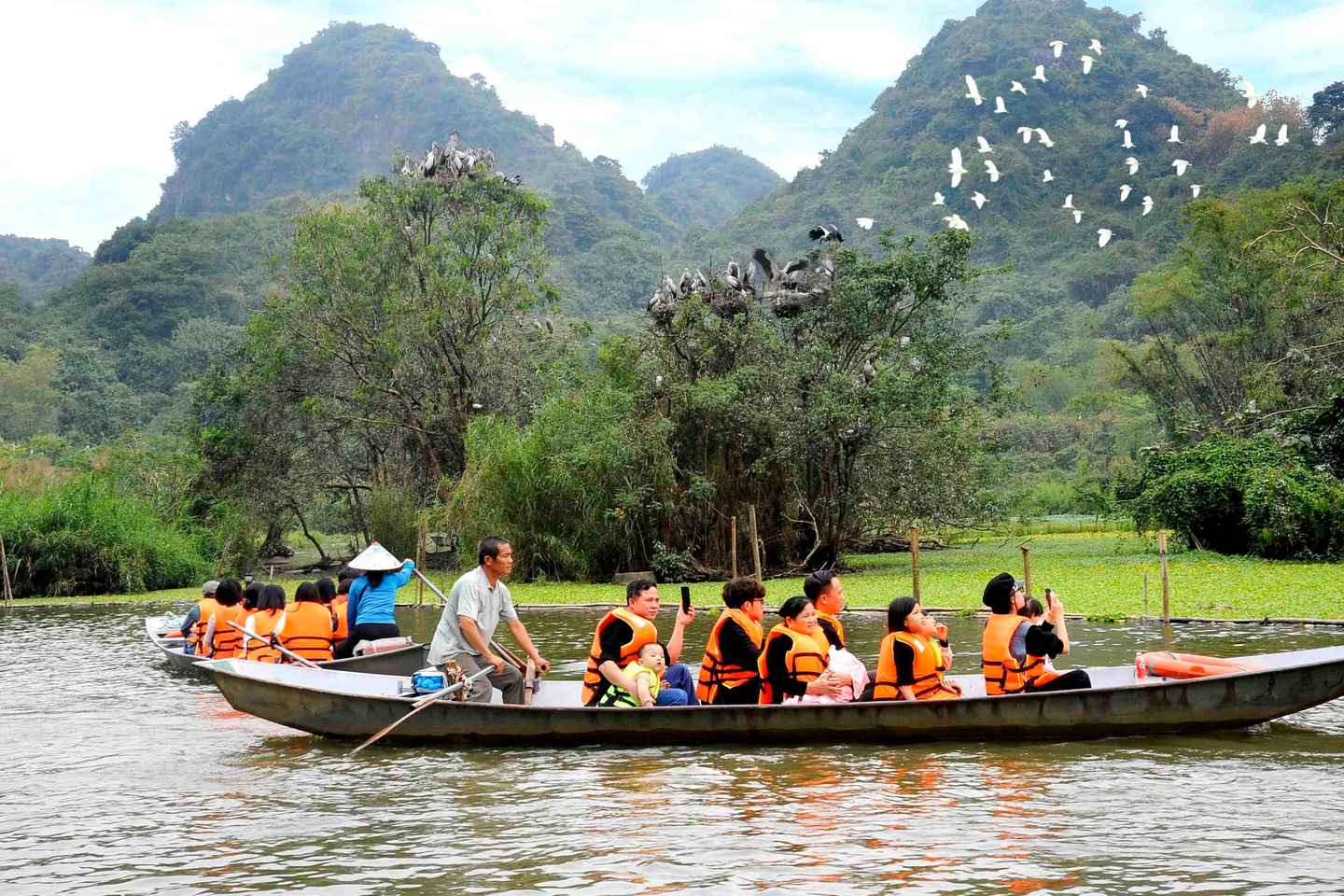 Ninh Binh: Thung Nham Cruise, Mua Cave Sunset & Hoa Lu Walk