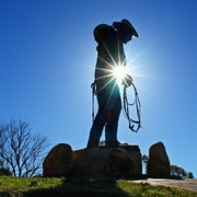 Longreach: Australian Stockman Museum's Immersive Tour