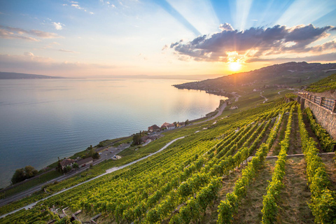 Excursión de un día privada: Lausana a Vevey, Montreux y Castillo de Aigle