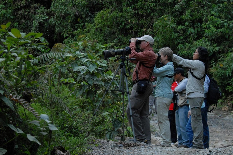 3-Day Amazon Adventure: Exploring the Jungle from Cusco