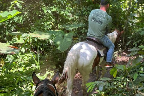 Miami: Horseback Riding in South Beach