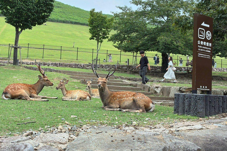 Nara: Mt. Wakakusa Family Picnic Trail with Guide