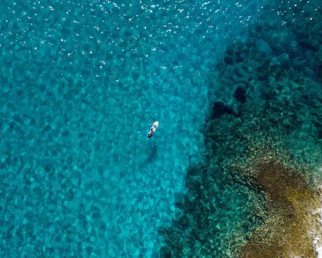 From Paphos/Polis: Akamas National Park by Jeep and Boat