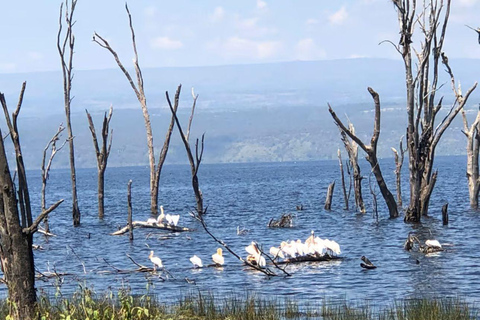Lake Nakuru & Naivasha National Park Wildlife Highlights