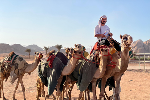 Wadi Rum: 5-Day Levantine Arabic Course in the Desert
