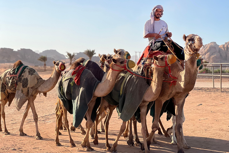 Wadi Rum: 5-Day Levantine Arabic Course in the Desert