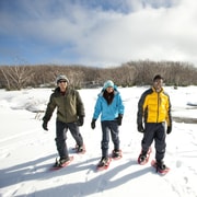 Melbourne: Lake Mountain Snow Play & Waterfalls Tour