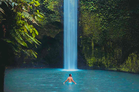 Ubud: Waterfalls, Rice Terrace & Bali Swing, Private Tour Tour With All Entrance Tickets - private tours