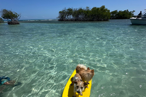 La Parguera : visite d'une demi-journée en bateau privé 4 heures