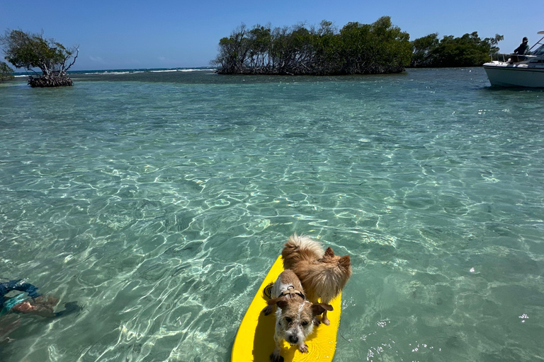 La Parguera : visite d'une demi-journée en bateau privé 4 heures
