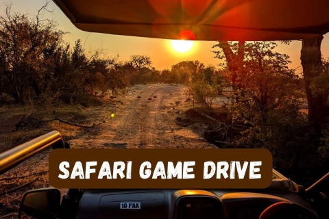 Victoria Falls: 4x4 Safari Game Drive Vic Falls Private Tour