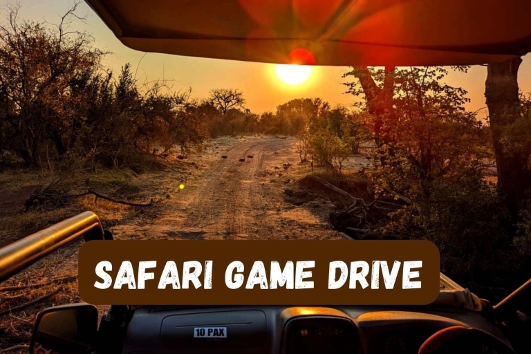 Victoria Falls: National Park Game Drive Small Group Tour