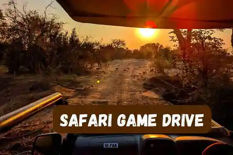 Victoria Falls : Safari animalier avec prise en charge à l'hôtel.