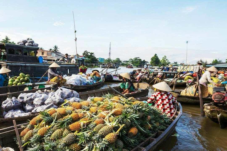 Da cidade de Ho Chi Minh: Viagem de 1 dia a Can Tho com mercado flutuante