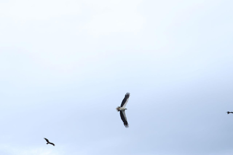 Langkawi: Półdniowa wycieczka Birdwatching Tour