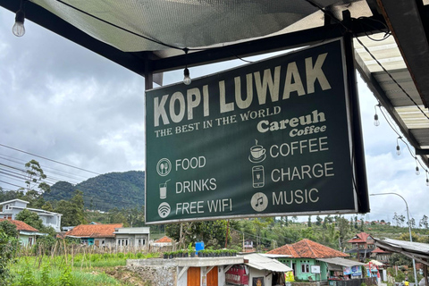 Bandung;White Crater,Hot Springs,Tea n strawberry plantation