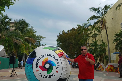 Miami Combo: Everglades Adventure and Sightseeing Tour Combo - Downtown Miami pickup