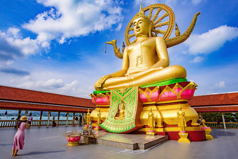 Koh Samui: stadstour met hoogtepunten van een halve dag in kleine groepKoh Samui: stadstour van een halve dag (5 uur)