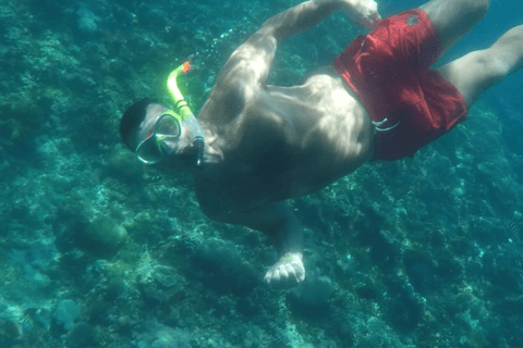 Vanuit Lembongan: Snorkelen 3 Spot Manta Bay, Gamat en MuurOchtendsessie