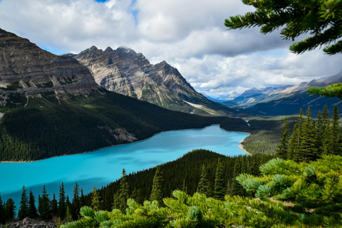 Banff: Lake Louise, Columbia Icefield, Bow &amp; Peyto LakesUpphämtning Banff Canalta Lodge