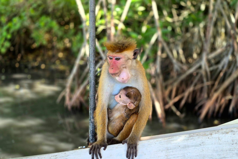 Koggala Lake Private Boat Tour with Dinesh