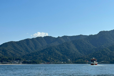 Hiroshima &amp; Miyajima UNESCO 1 dag bustourVanaf JR Hiroshima Station (zonder lunch)