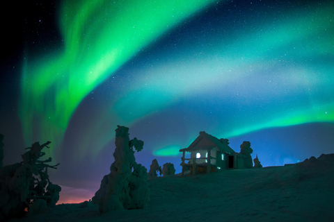 Rovaniemi: Tour fotográfico com garantia de aurora (grupo pequeno)