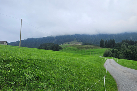 Zürich:Interlaken Grindelwald,Lauterbrunnen (optie privé)