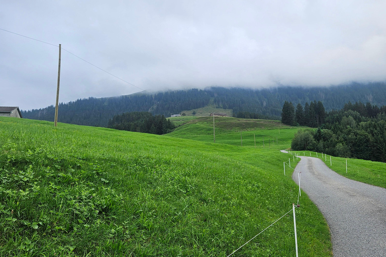 Zurigo:Interlaken Grindelwald,Lauterbrunnen (opzione privata)