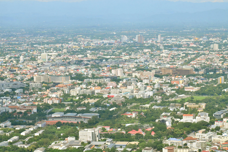 Chiang Mai: 4-timmars rundtur med Doi Suthep, Wat Umong och Wat Phalat