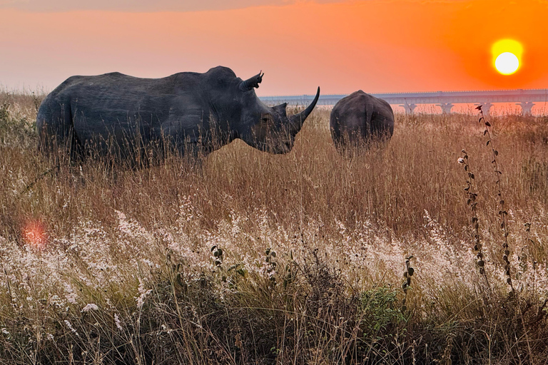 Nairobi Park Safari, Sheldrick's Orphanage & Giraffe Center Shared Drive in Open-Roof Van Game Drive