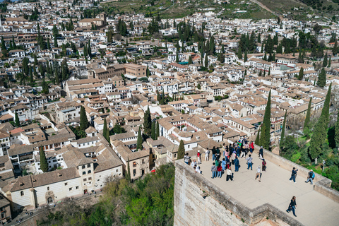 Grenade : visite guidée de l'Alhambra, palais nasrides, jardins