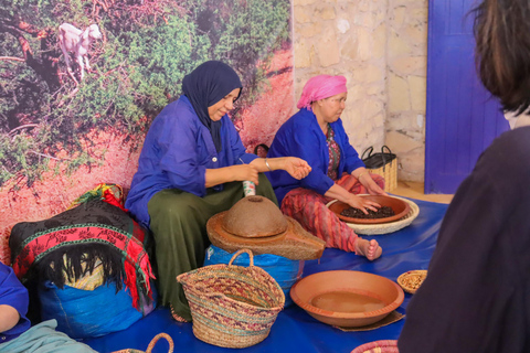 Agadir: Day Trip to Essaouira with Medina & Beach Time