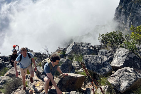 Hike Table Mountain in Cape Town with an Experienced Guide Devil’s Peak Summit Guided Hike