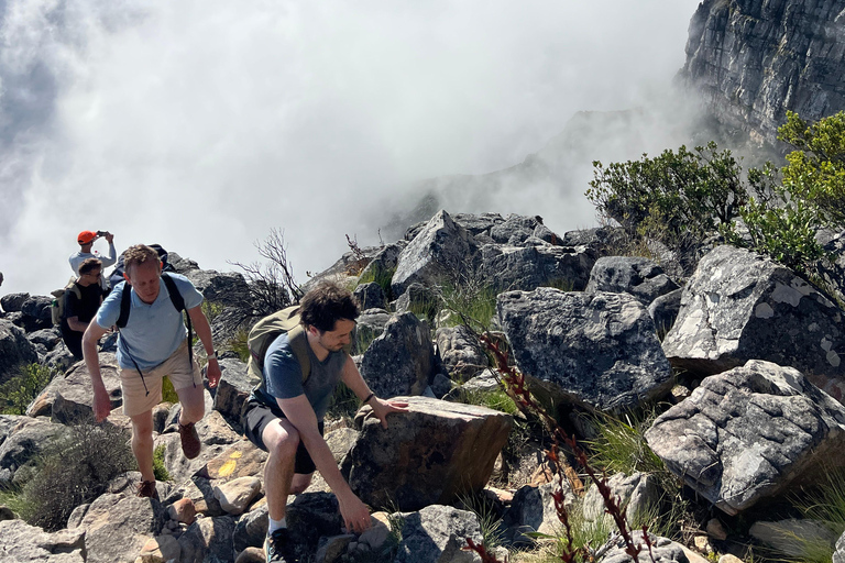 Hike Table Mountain in Cape Town with an Experienced Guide Devil’s Peak Summit Guided Hike