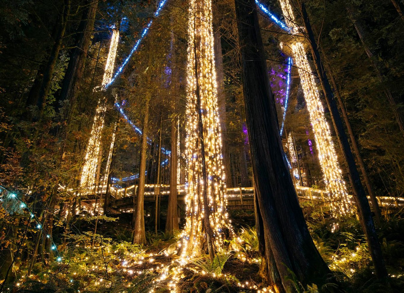 Vancouver: Capilano Suspension Bridge Park billet