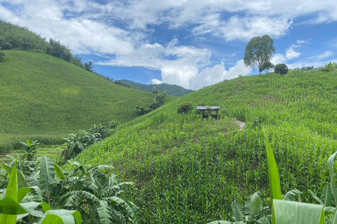 Chiang Rai Trek: 4 Hilltribes Villages & Waterfall Only Walk
