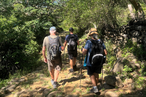 Camino Real : Randonnée Barichara-Guane + Musée Paléontologique