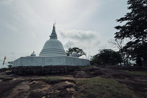 From Colombo: Gampaha District Temples & Jungle Hike Tour